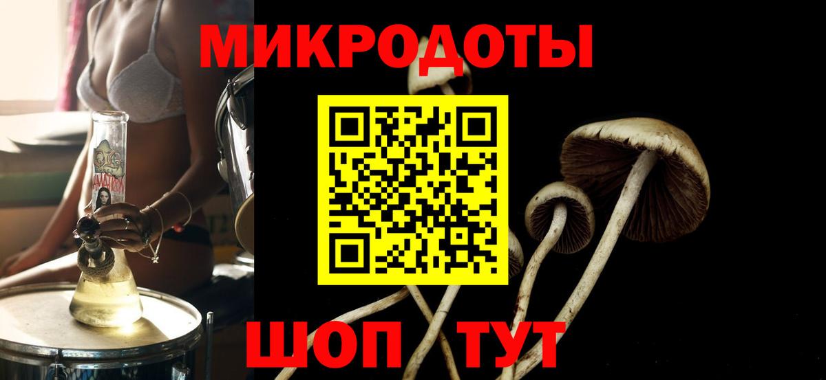 Псилоцибиновые грибы мухоморы Нижнеудинск