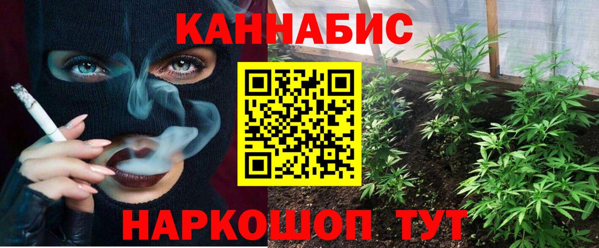 Конопля гибрид  Вход с VPN  Конопля план  Нижнеудинск  Канабис SATIVA & INDICA 
